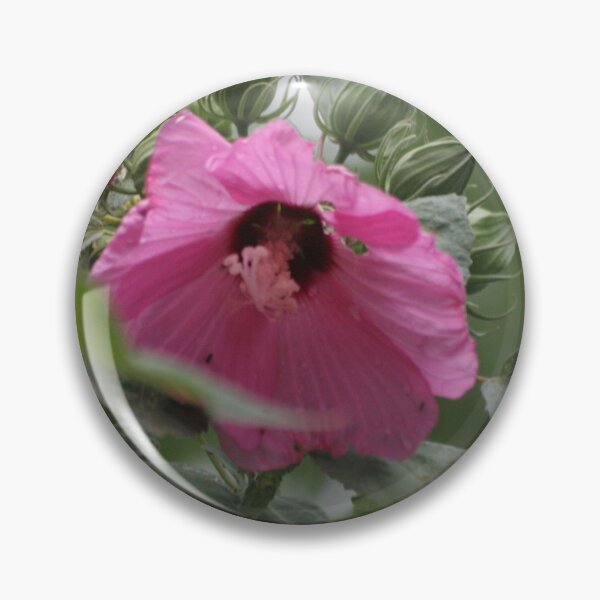 Item preview, Pink Hibiscus Flowers designed and sold by BeautysDesigns.