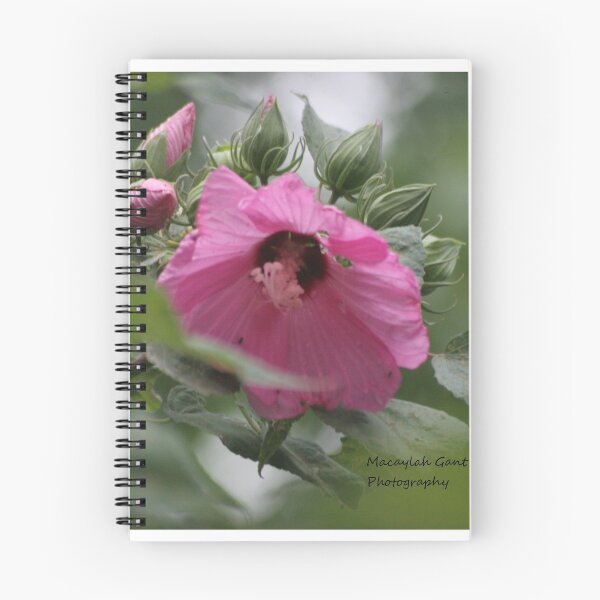 Item preview, Pink Hibiscus Flowers designed and sold by BeautysDesigns.