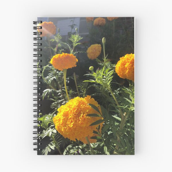 Item preview, Yellow French Marigold Flower designed and sold by Kaushal Pal.