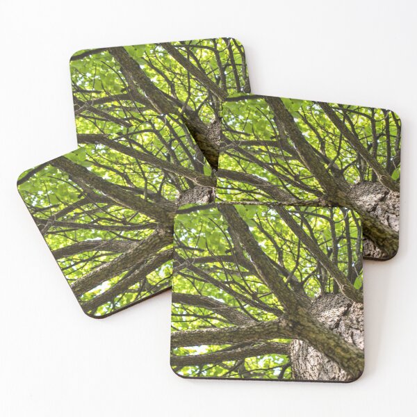 Item preview, Tree from Below designed and sold by QWO-Shop.