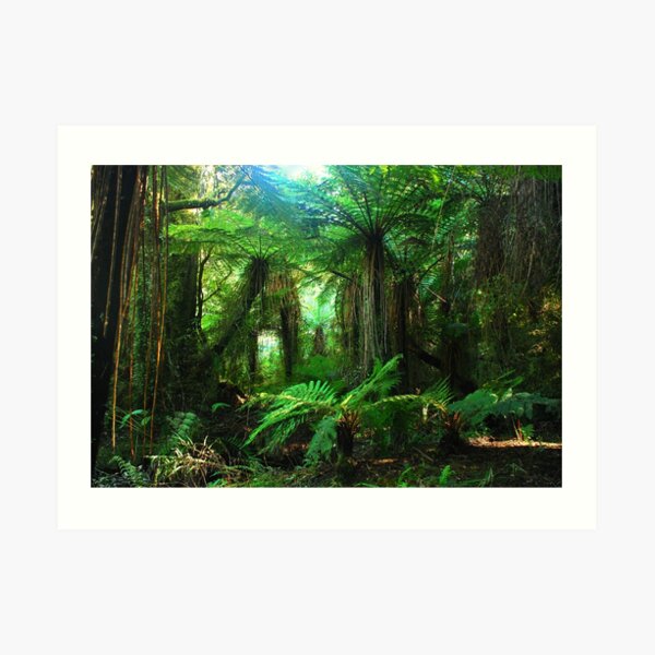 Rainforest New Zealand Art Print