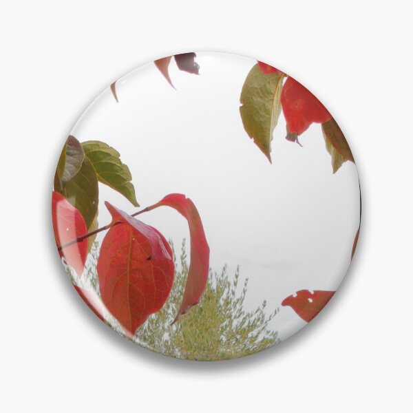 Item preview, colors designed and sold by Cacho56.