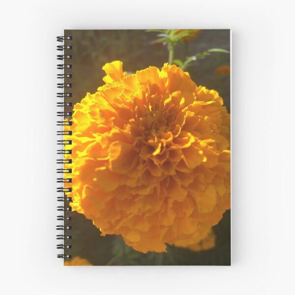 Item preview, Golden Marigold Flower Nature designed and sold by Kaushal Pal.