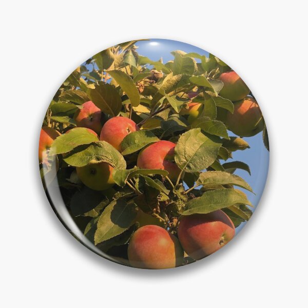 Item preview, Apples designed and sold by jusdowski.