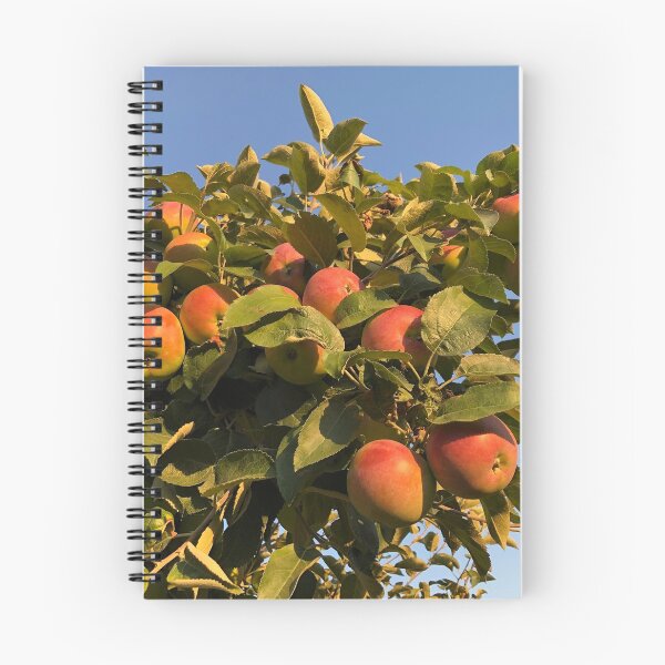 Item preview, Apples designed and sold by jusdowski.