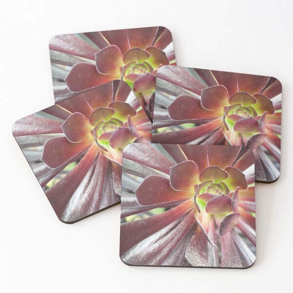 Item preview, Succulent Cactus Close Up Photograph designed and sold by smnessen.