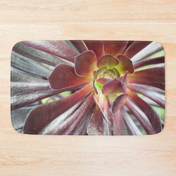 Item preview, Succulent Cactus Close Up Photograph designed and sold by smnessen.