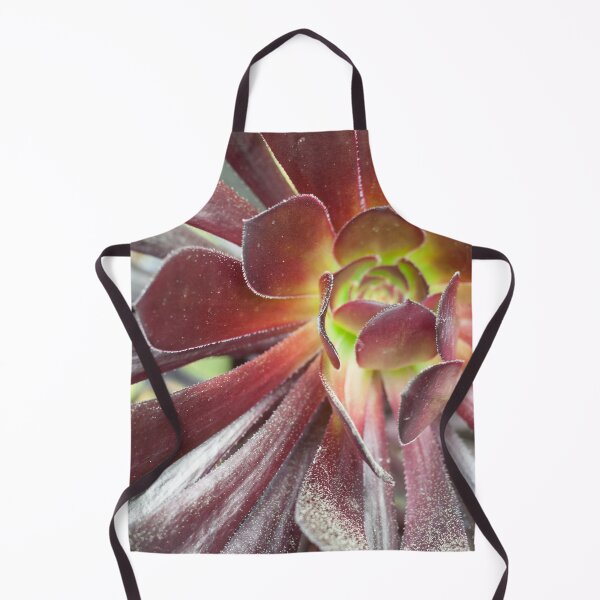 Item preview, Succulent Cactus Close Up Photograph designed and sold by smnessen.