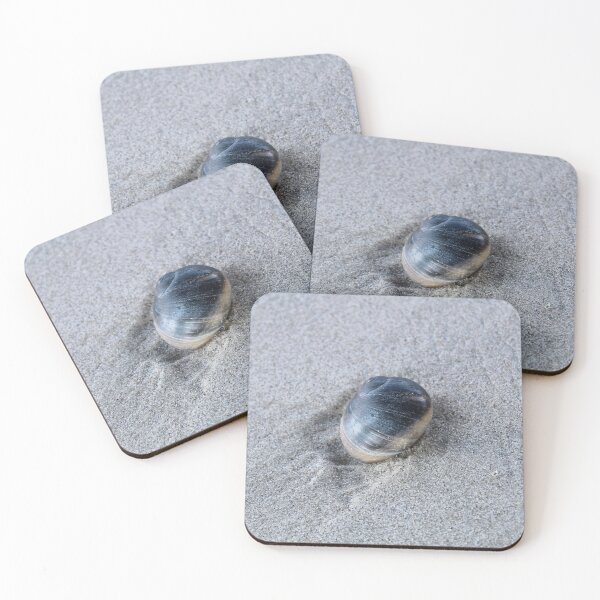 Item preview, Shell designed and sold by QWO-Shop.