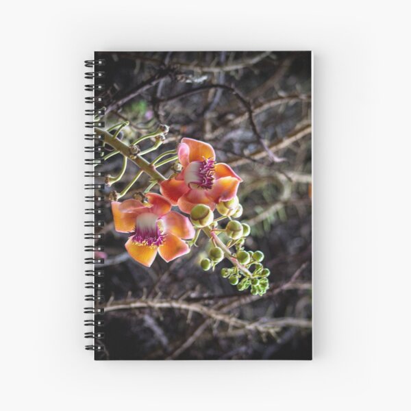 In the light Spiral Notebook