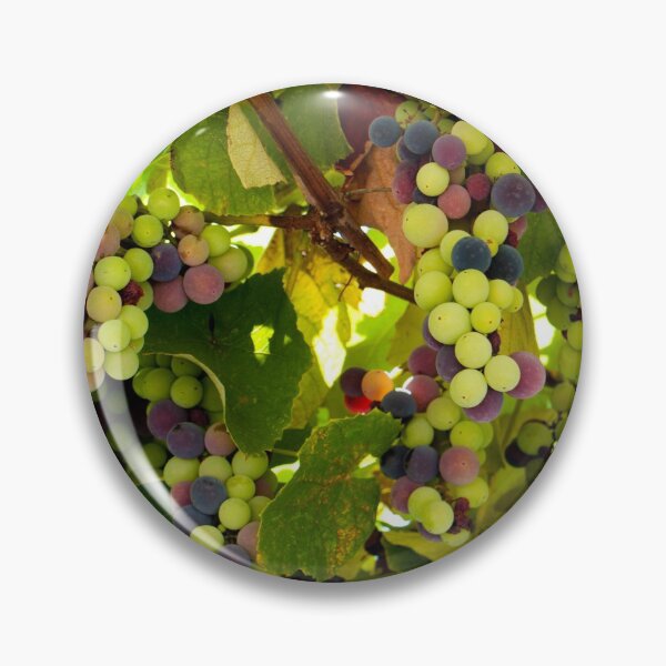 Item preview, Green and Purple Grapes Growing on the Vine designed and sold by Rae Tucker Photography & Designs.
