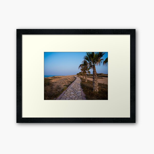 Seaside Stone Path and Palm Trees Framed Art Print
