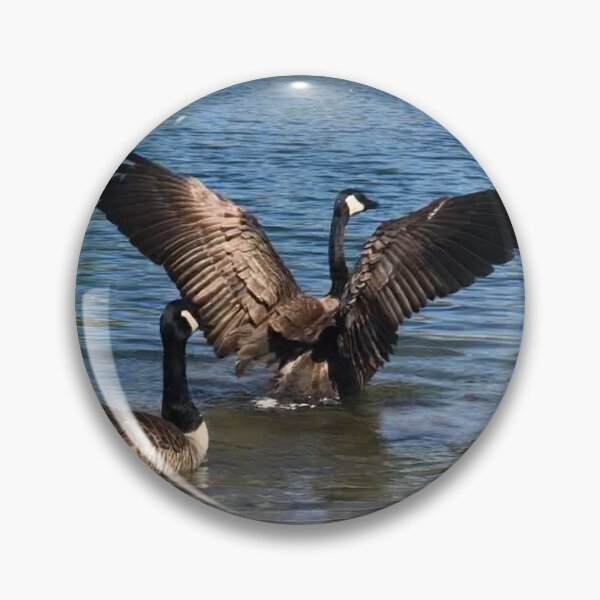 Item preview, Canadian Geese designed and sold by jusdowski.