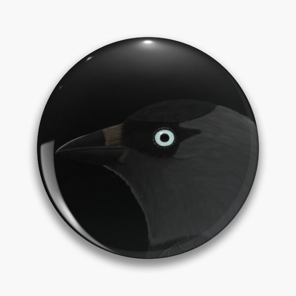 Item preview, Jackdaw bird drawing gift women girls men kids birdwatcher biologist designed and sold by jz-birds.