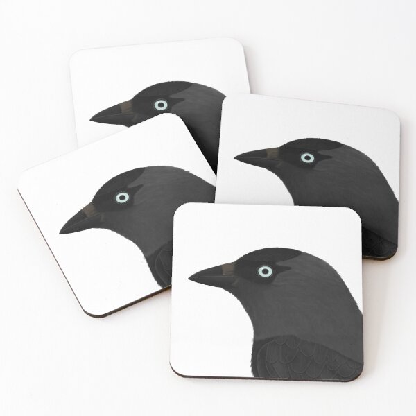 Item preview, Jackdaw bird drawing gift women girls men kids birdwatcher biologist designed and sold by jz-birds.