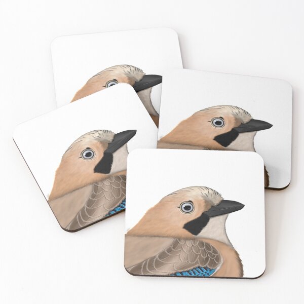 Item preview, Jay bird drawing gift women girls men kids birdwatcher biologist designed and sold by jz-birds.