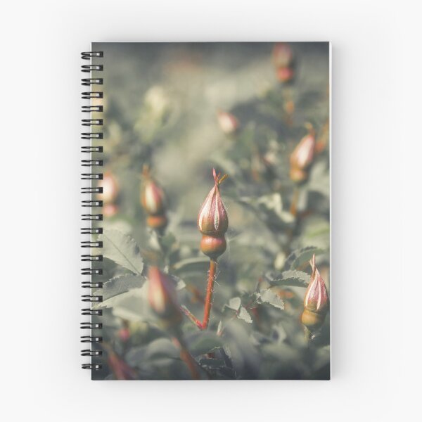 Item preview, Unblown Rose Bush designed and sold by cinema4design.