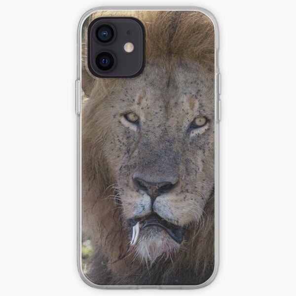 Portrait of Fang iPhone Soft Case