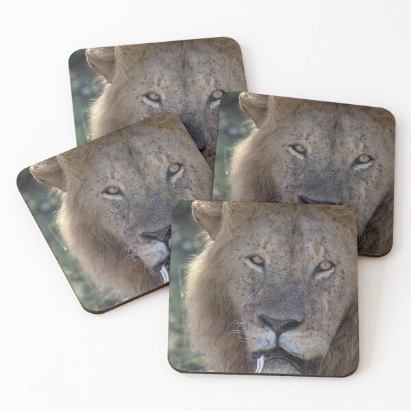 Item preview, Portrait of Fang designed and sold by Yves Roumazeilles (Wild Focus).