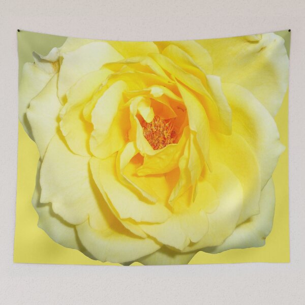 Item preview, 56544767 designed and sold by RealFlower.