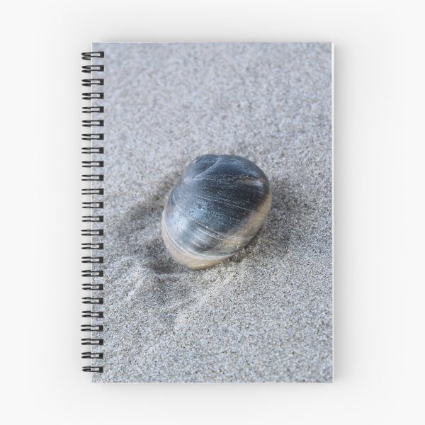 Item preview, Shell designed and sold by QWO-Shop.