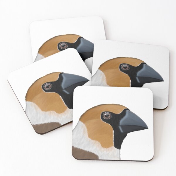 Item preview, Grosbeak bird drawing gift women girls men kids birdwatcher biologist designed and sold by jz-birds.
