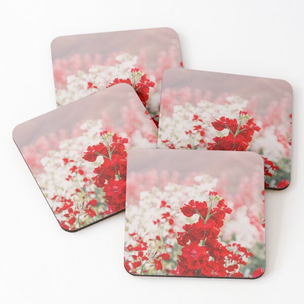 Item preview, Lompoc Stock Flower Blooms designed and sold by LBTOMA.