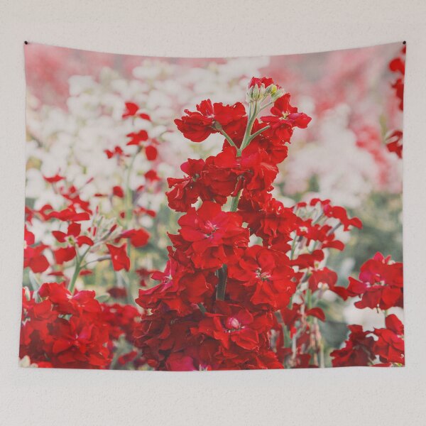 Item preview, Lompoc Stock Flower Blooms designed and sold by LBTOMA.