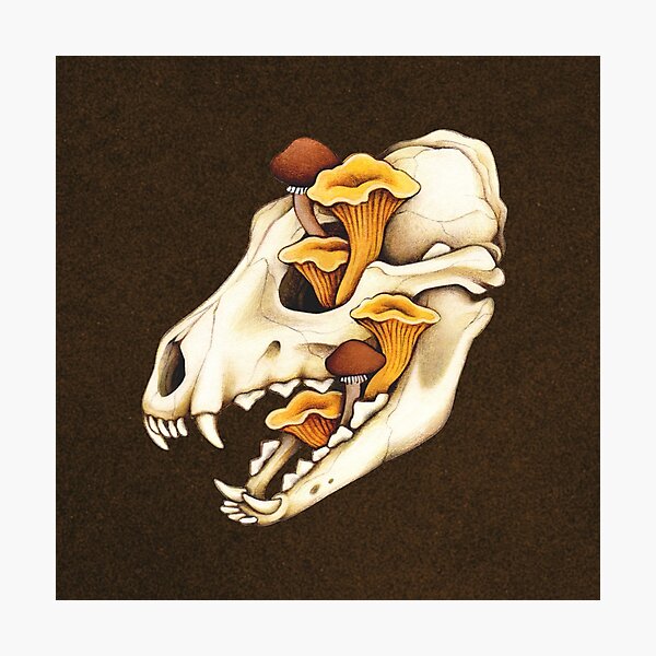 Item preview, Vulture Culture Canine Skull with Fungus Fungi Mushroom Wolf Skull Fox Skull Skulldog Green Witch Gothic Occult Furry Therian Forestcore Witchcraft designed and sold by Veymoth.