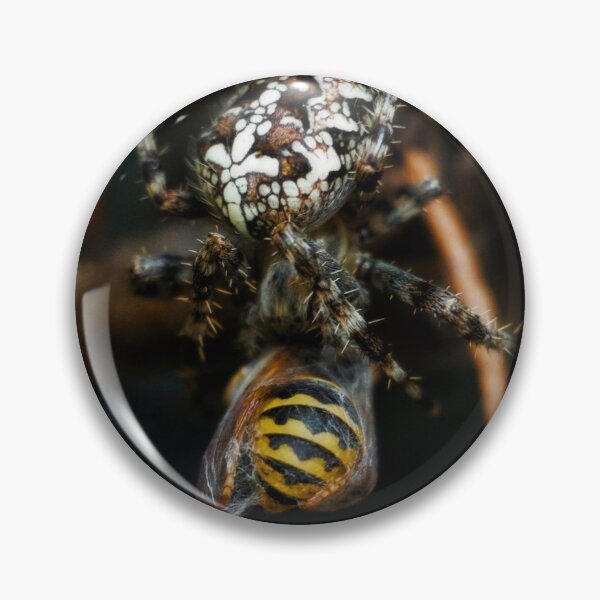 Item preview, A spider catches a wasp designed and sold by ToniStauche.