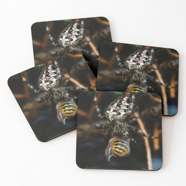 Item preview, A spider catches a wasp designed and sold by ToniStauche.