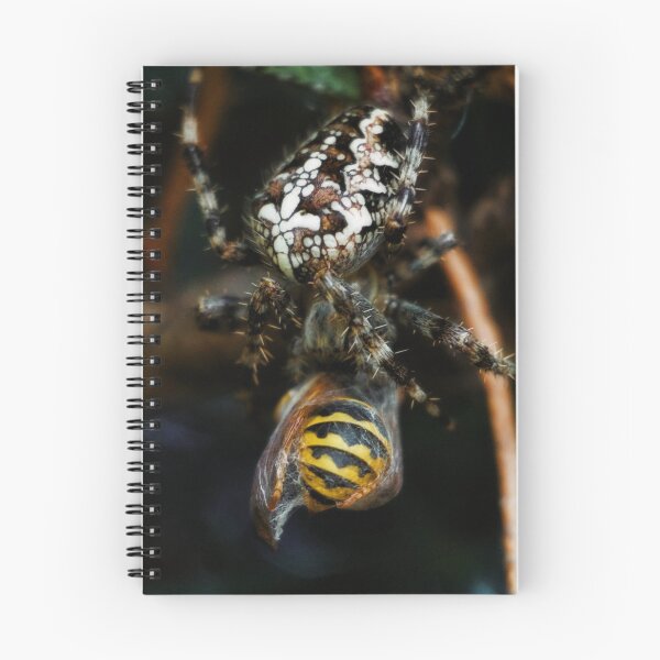Item preview, A spider catches a wasp designed and sold by ToniStauche.