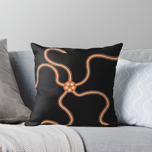 Item preview, Brittlestar A - black designed and sold by FossilsForever.