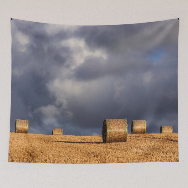 Item preview, Round Straw Bales. designed and sold by John Ray.