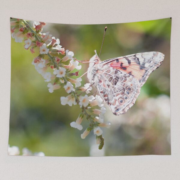 Item preview, Painted Lady Butterfly Vanessa Cardui designed and sold by smnessen.