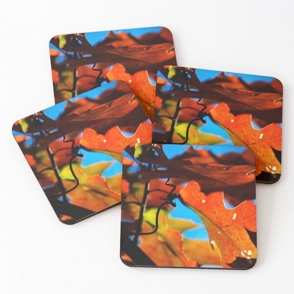 Item preview, Backlit Leaves designed and sold by claireture.