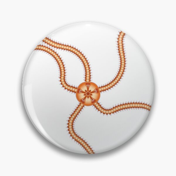 Item preview, Brittle Star A - clear designed and sold by FossilsForever.