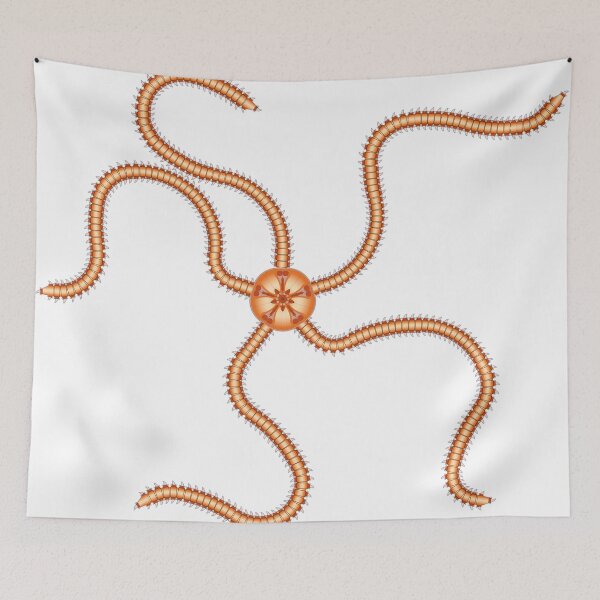 Item preview, Brittle Star A - clear designed and sold by FossilsForever.