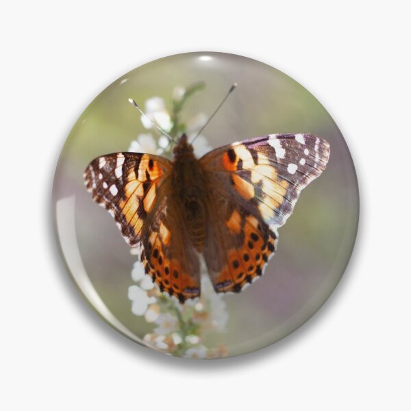 Item preview, Painted Lady Butterfly Vanessa Cardui with Open Wings designed and sold by smnessen.
