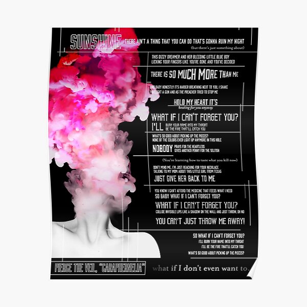 pierce the veil caraphernelia Poster
