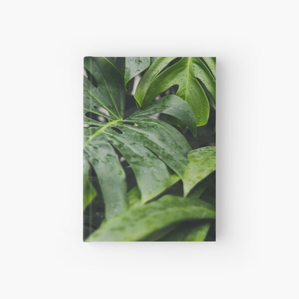 Wet Leaves Hardcover Journal