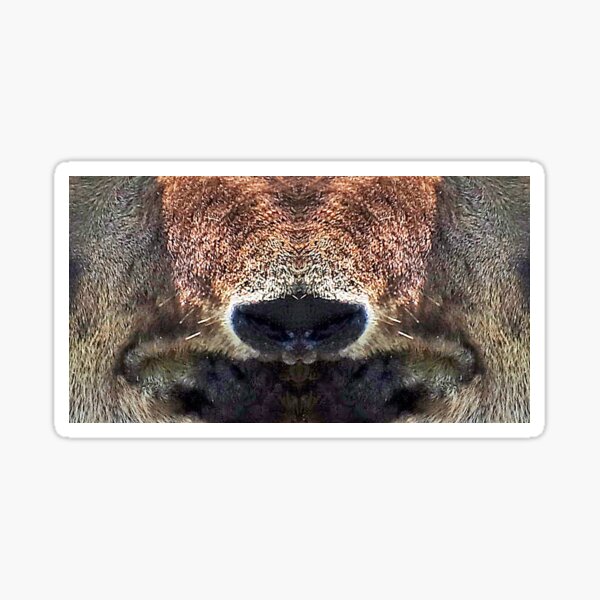 Vista previa del artículo con la obra «Máscara facial con foto de tapir de Baird», diseñado y vendido por cmilliganphoto.