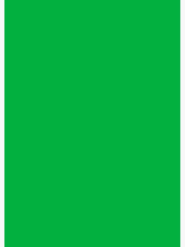GREEN SCREEN Green Chroma Background 