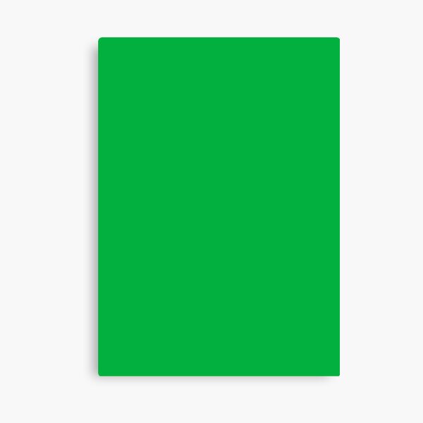 Green Screen Canvas Print by s6ads  Green screen backgrounds, Chroma key, Green  screen video backgrounds