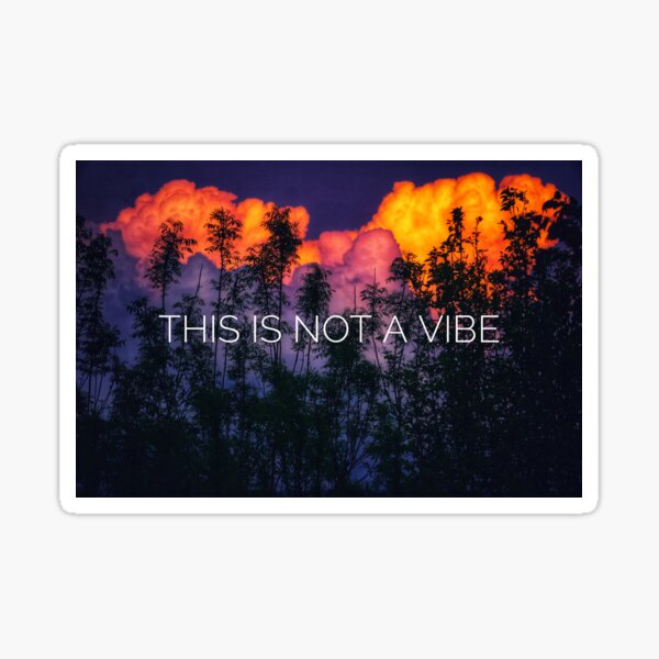 This is Not a Vibe Sticker