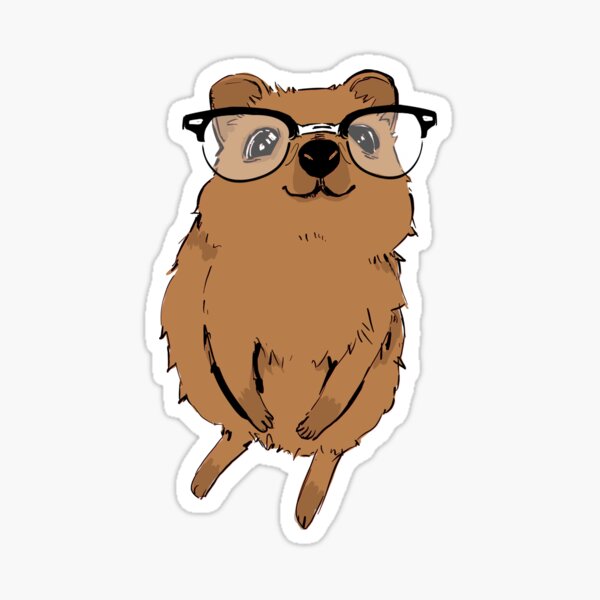 Vista previa del artículo con la obra «Bebé quokka con gafas», diseñado y vendido por picayan.