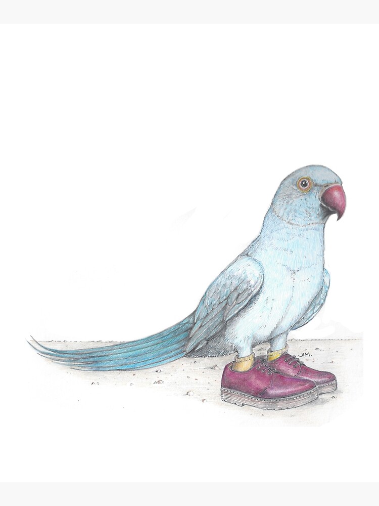 Indian Ringneck Parrot in Derby Shoes by JimsBirds