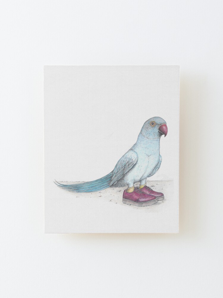 Alternate view of Indian Ringneck Parrot in Derby Shoes Mounted Print