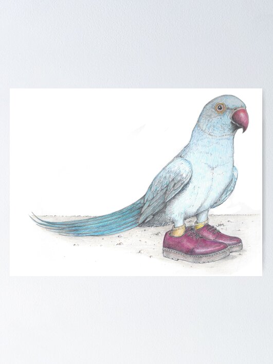 Thumbnail 1 of 3, Poster, Indian Ringneck Parrot in Derby Shoes designed and sold by JimsBirds.