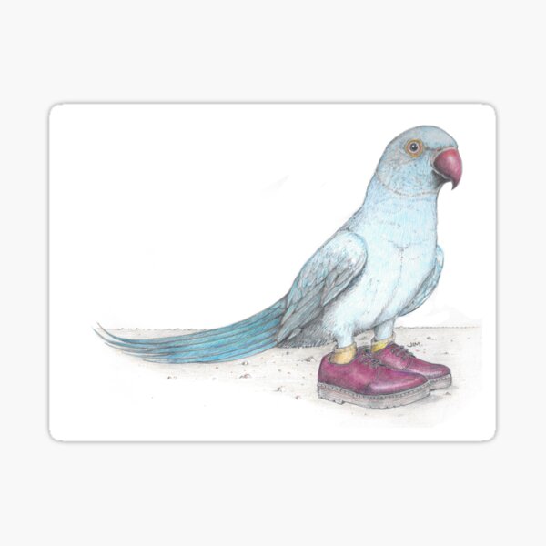 Item preview, Indian Ringneck Parrot in Derby Shoes designed and sold by JimsBirds.